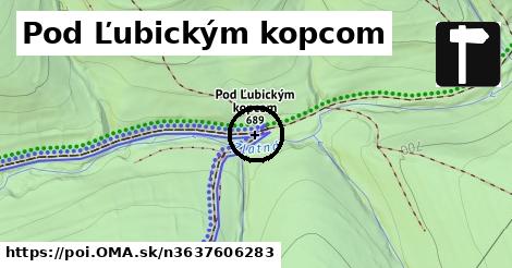 Pod Ľubickým kopcom