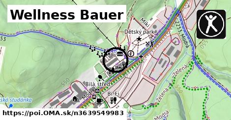 Wellness Bauer