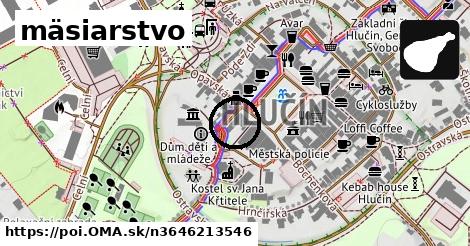 mäsiarstvo