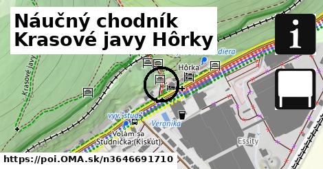 Náučný chodník Krasové javy Hôrky