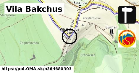 Vila Bakchus