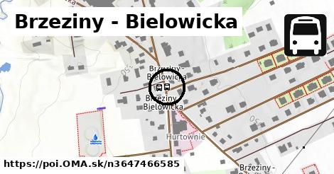 Brzeziny - Bielowicka