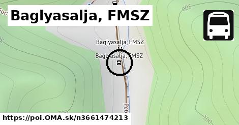 Baglyasalja, FMSZ