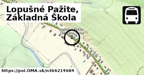 Lopušné Pažite, Základná Škola