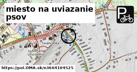 miesto na uviazanie psov