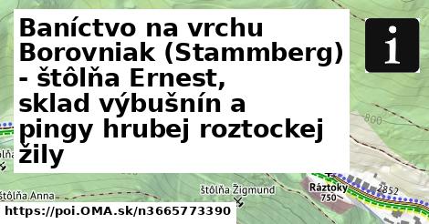 Baníctvo na vrchu Borovniak (Stammberg) - štôlňa Ernest, sklad výbušnín a pingy hrubej roztockej žily