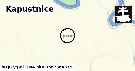 Kapustnice