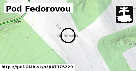 Pod Fedorovou