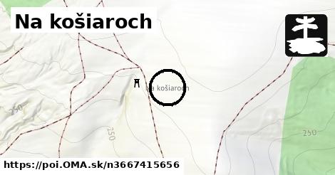 Na košiaroch