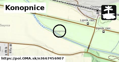 Konopnice