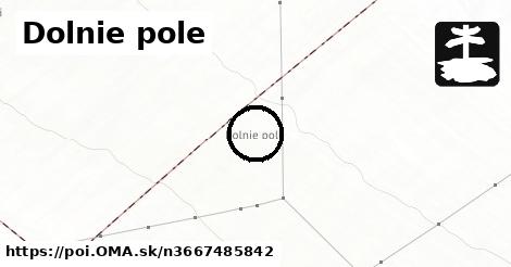 Dolnie pole