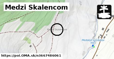 Medzi Skalencom