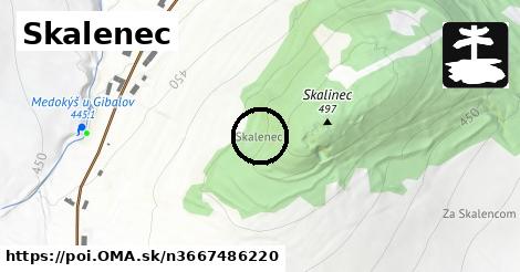 Skalenec