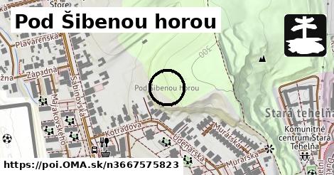 Pod Šibenou horou