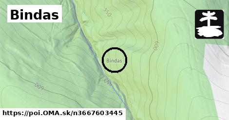 Bindas