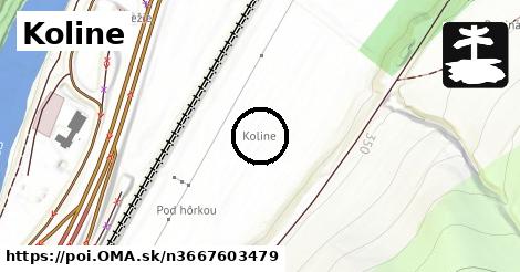 Koline