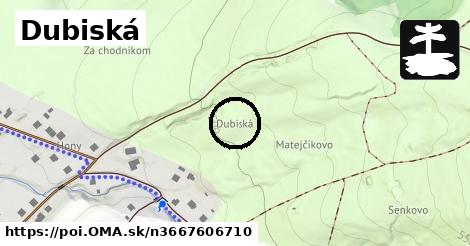 Dubiská