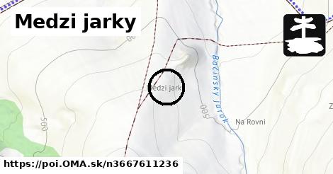 Medzi jarky