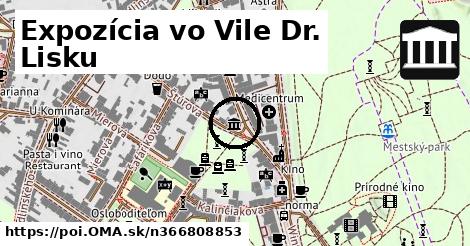 Expozícia vo Vile Dr. Lisku