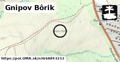 Gnipov Bôrik