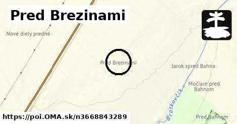 Pred Brezinami