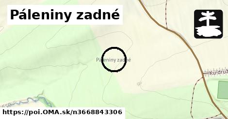 Páleniny zadné