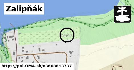 Zalipňák