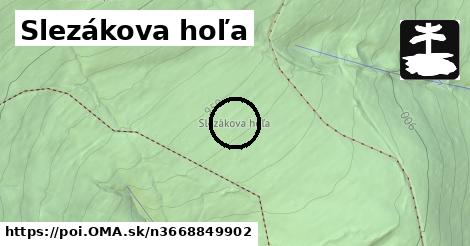 Slezákova hoľa