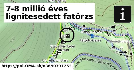 7-8 millió éves lignitesedett fatörzs