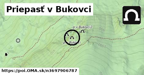 Priepasť v Bukovci
