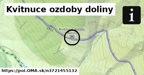 Kvitnuce ozdoby doliny