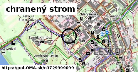 chranený strom