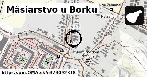 Mäsiarstvo u Borku