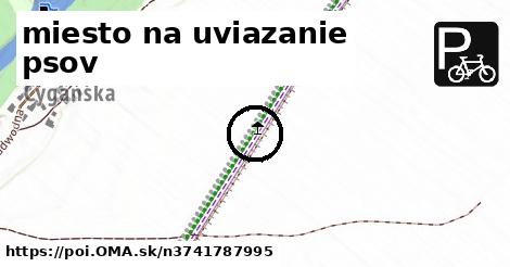 miesto na uviazanie psov