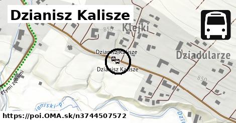 Dzianisz Kalisze