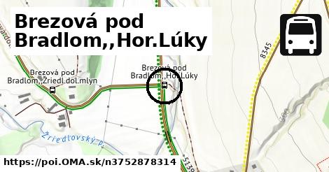 Brezová pod Bradlom,,Hor.Lúky