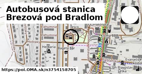 Autobusová stanica Brezová pod Bradlom