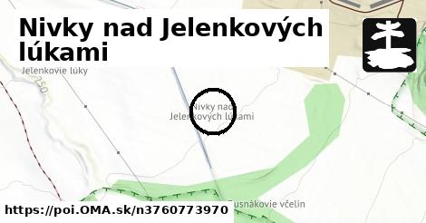 Nivky nad Jelenkových lúkami