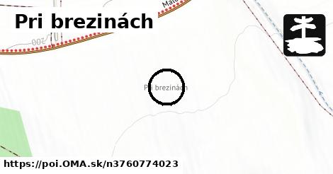 Pri brezinách