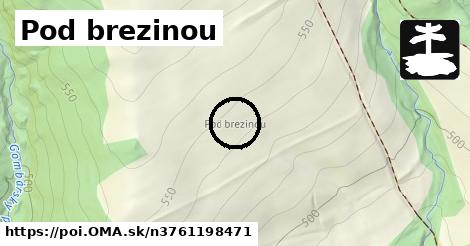 Pod brezinou