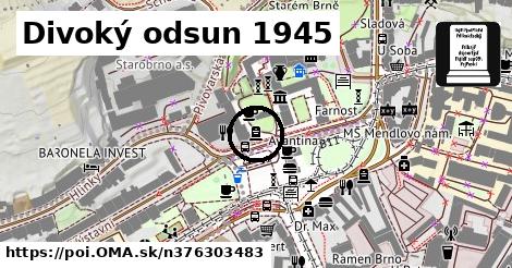 Divoký odsun 1945