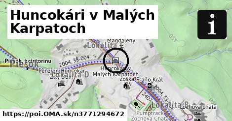 Huncokári v Malých Karpatoch