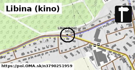 Libina (kino)