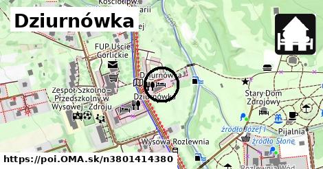 Dziurnówka