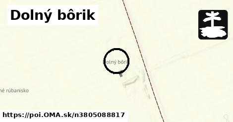 Dolný bôrik