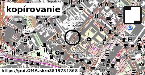 kopírovanie