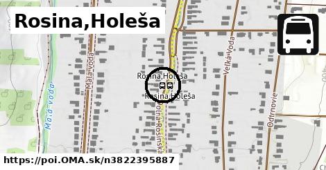 Rosina,Holeša