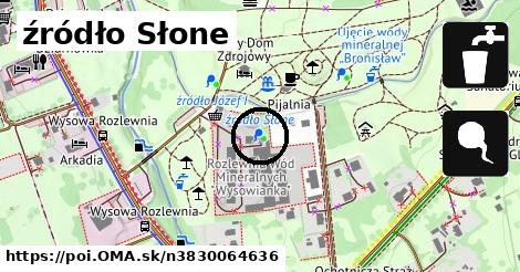 źródło Słone