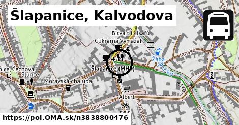 Šlapanice, Kalvodova