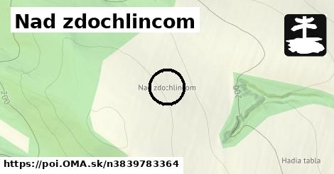 Nad zdochlincom